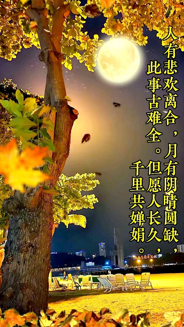 沁园春-中秋吟咏～词||雅轩琴韵（图8）