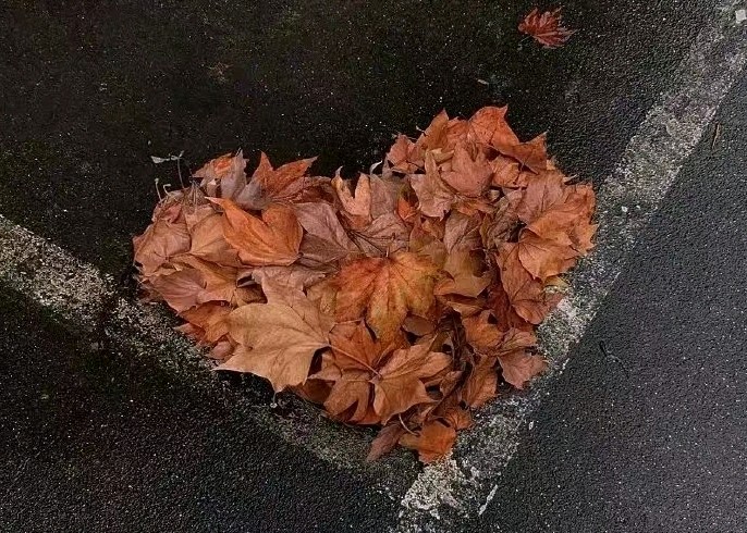 秋色的夜（图2）