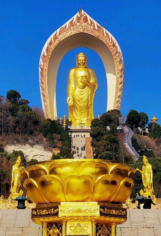 画堂春-又见东林寺樱花盛开～词||刘哲侬（图8）
