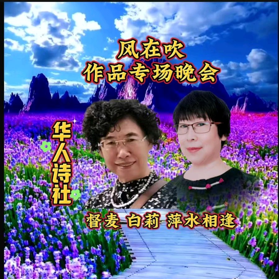 《华人诗社风在吹个人作品专场朗诵会》总策划/心如大海 朗诵/华人诗社朗诵团（图8）
