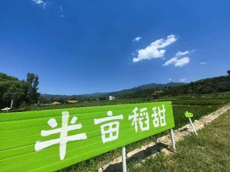 【纪实散文】玉山古镇和”父亲的水稻田“:作者/孙建民(陕西西安)(图2)
