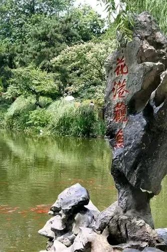 西湖花港观鱼～诗||李耀文（图19）