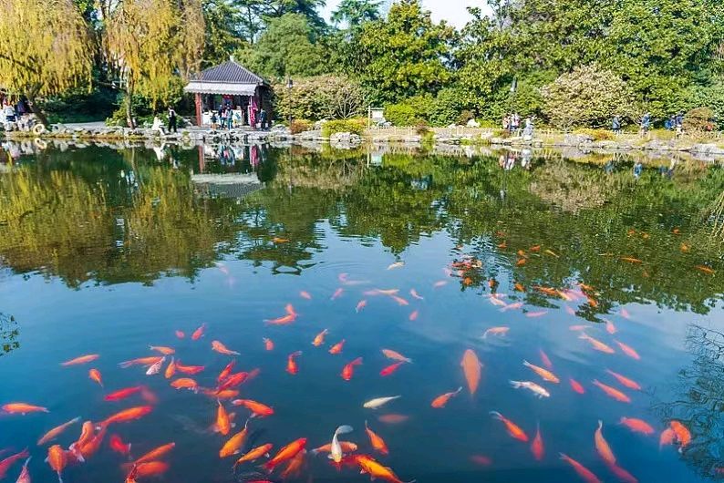 西湖花港观鱼～诗||李耀文（图14）