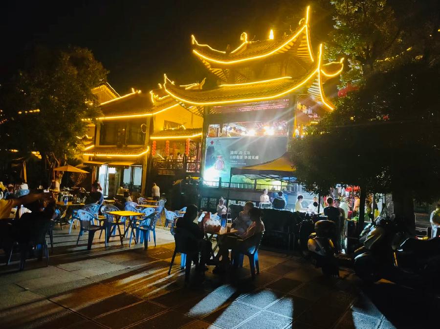 【英国文学】精品朗诵《夜游岳阳城》作者｜杨会亮、朗诵｜薇薇（图3）