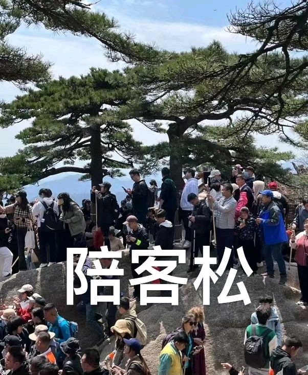 游黄山～诗||李耀文（图17）