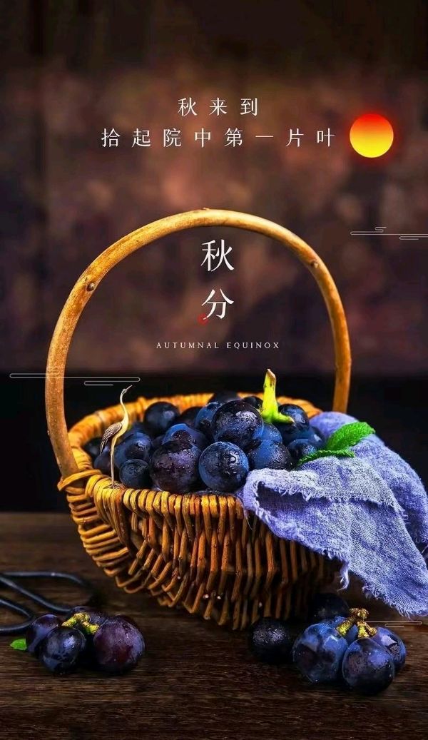 【荣耀中国】呼和浩特分社五排律·二十四节气之秋分作者: 二姐（图2）