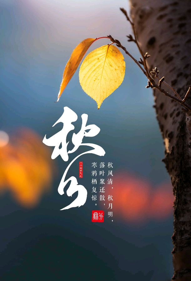 【现代诗】秋分（外六首）/谢云峰（图2）