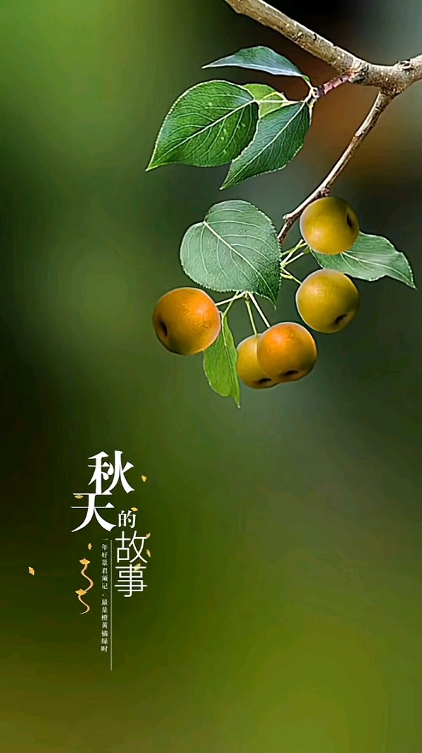 七律-叹秋～诗||杨景儒（图8）