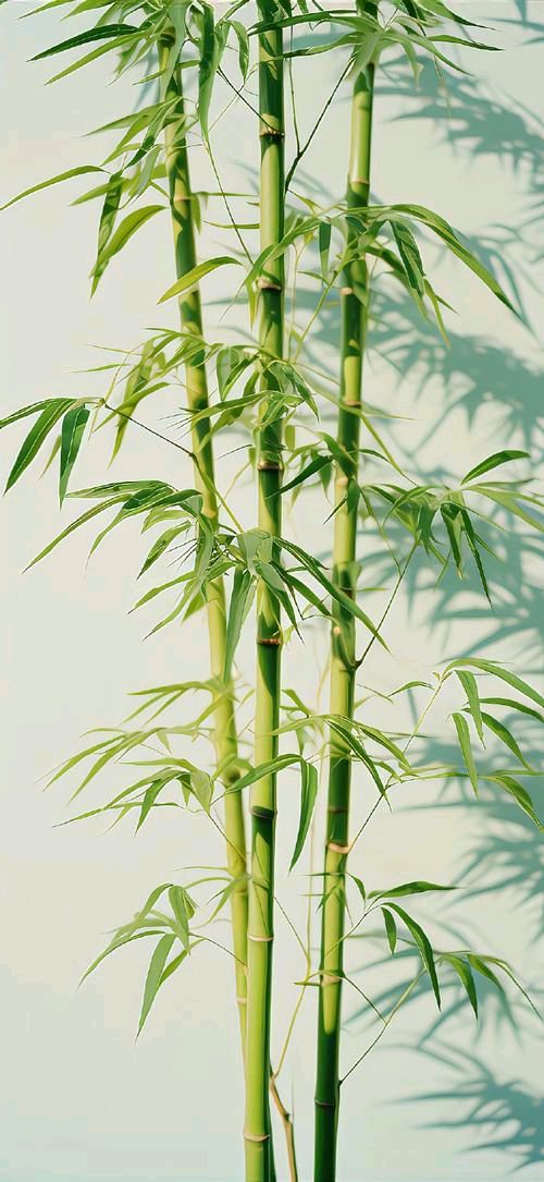【红色文化】古典诗词篇（图5）