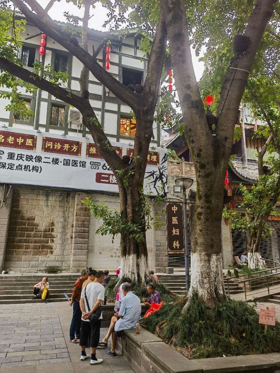 「散文」秋老虎走了，重庆终于凉快了（图16）