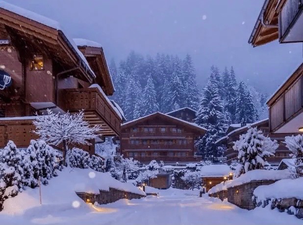 【新诗大观】一场照亮夜色的雪||文/姚元霞（图2）