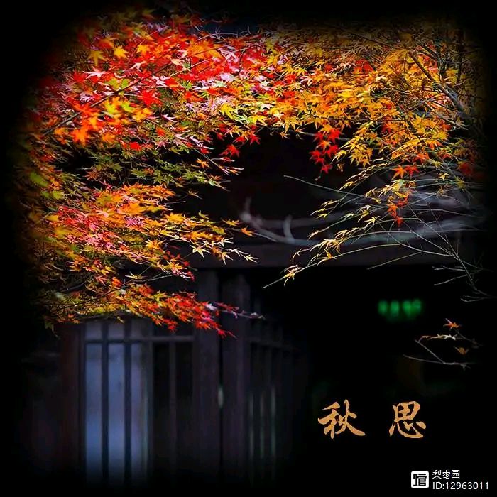 陈正的《鹧鸪天•秋思》