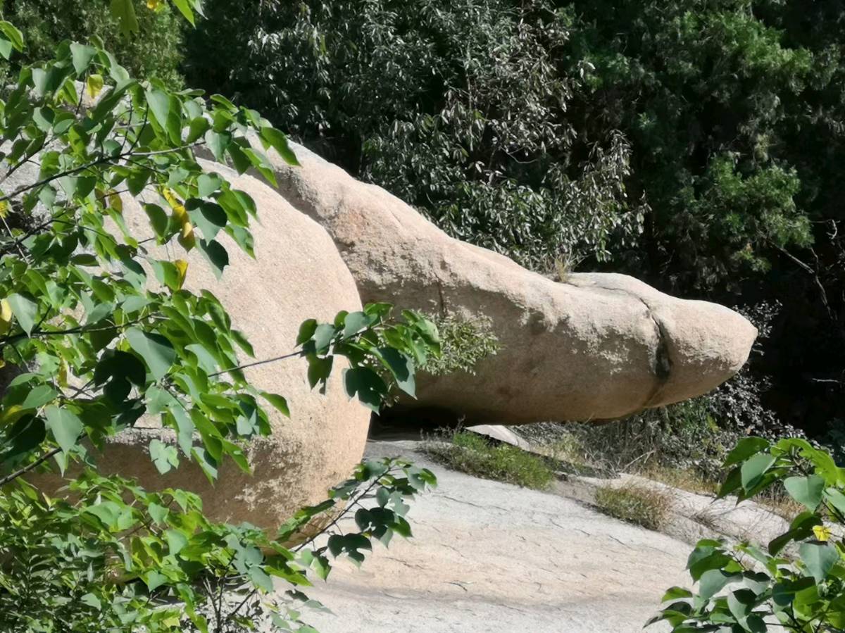 身体里的秋天（图2）