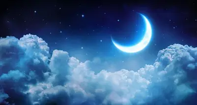 江西作家王淑霞诗歌欣赏（图6）