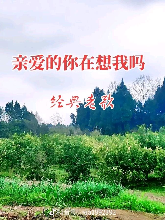 何成老师歌曲词（图3）