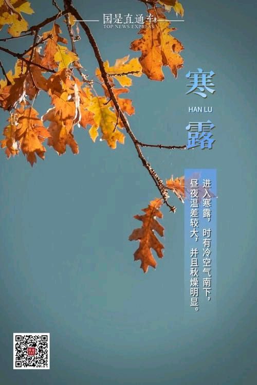 田贺专辑/编辑:润牙子（图4）