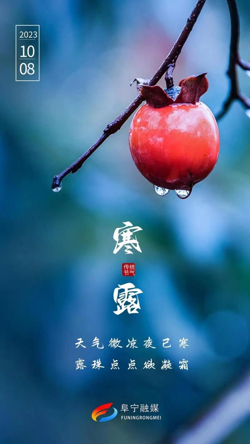 寒露吟-文：众诗人【四合院诗刊】世界诗人名人展10246期（图4）