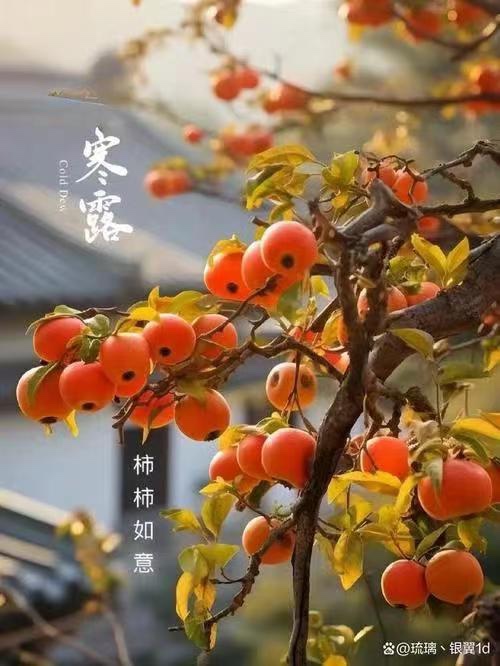 寒露吟-文：众诗人【四合院诗刊】世界诗人名人展10246期（图7）