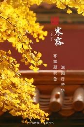 寒露吟-文：众诗人【四合院诗刊】世界诗人名人展10246期（图17）