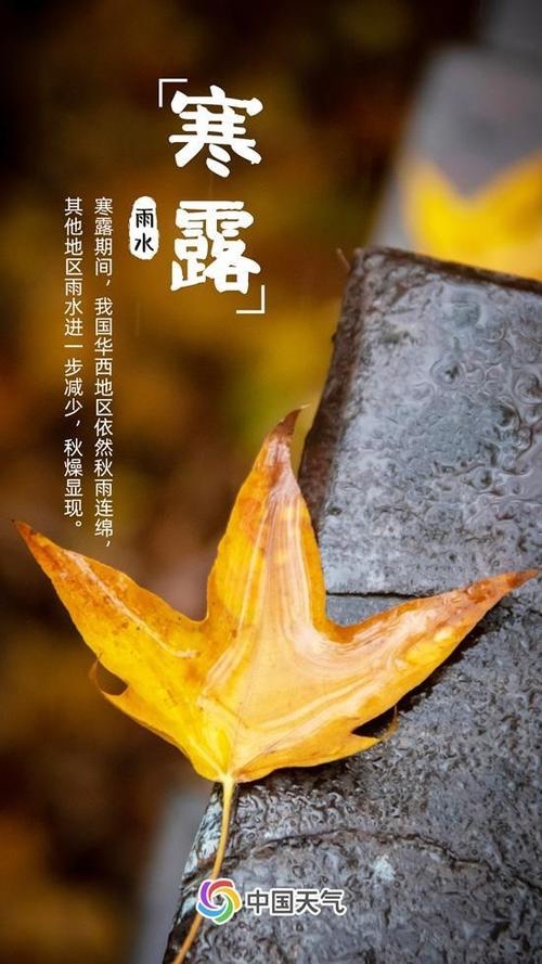 寒露吟-文：众诗人【四合院诗刊】世界诗人名人展10246期（图8）