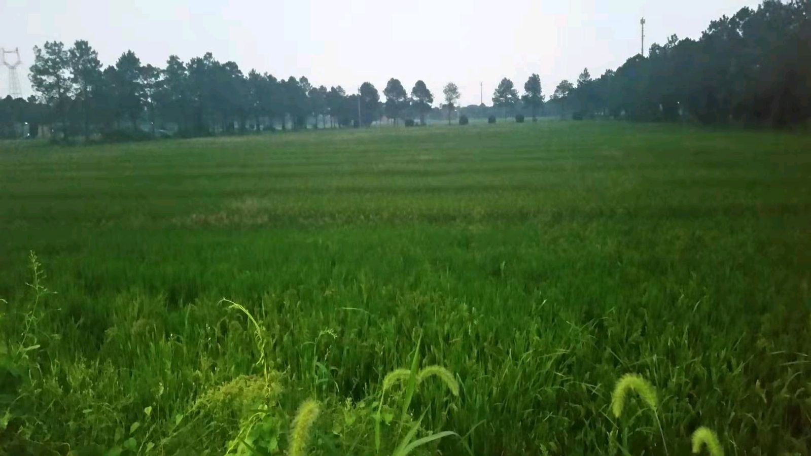 吴山前村感怀（外三首）/作者：千山剑客（图5）