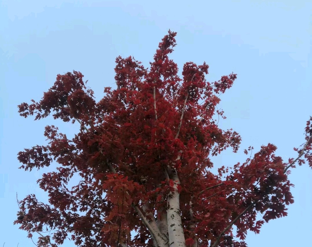 我在