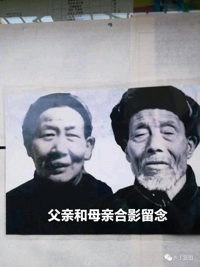 旭日东升编辑‖喜迎重阳节（图18）