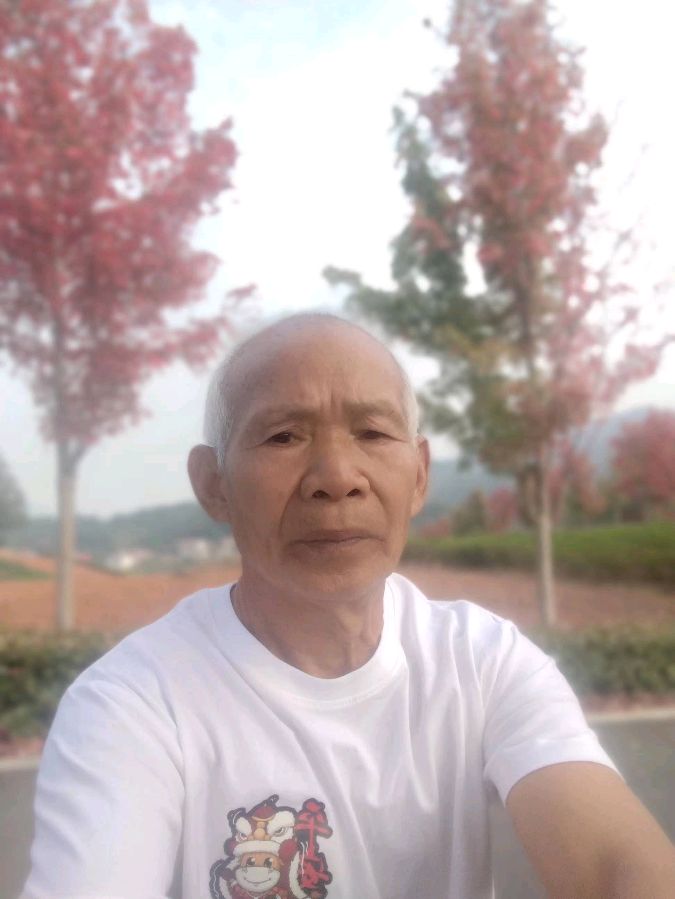 重阳咏怀，诗词九首