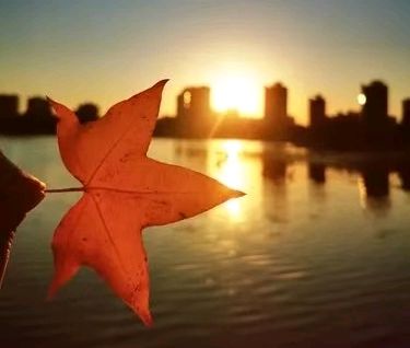 《红叶聊寄千千结》（图2）