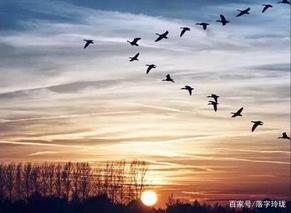 吟重阳节·三首 作者：姚树学朗诵：逯家驹（图3）