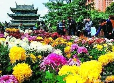 中华诗艺社江西分社【格律诗词精品鉴赏】都市头条•周刊•重阳专题（总第1645期）（图9）