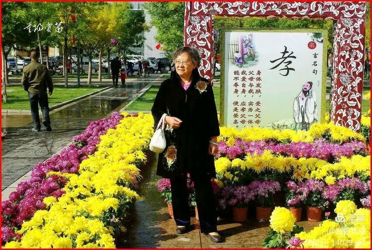 中华诗艺社江西分社【格律诗词精品鉴赏】都市头条•周刊•重阳专题（总第1645期）（图16）
