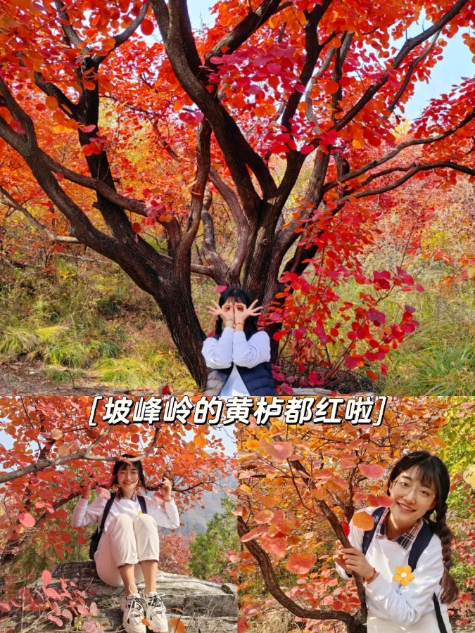 鹧鸪天-再向坡峰岭～词||刘瑞宝（图13）