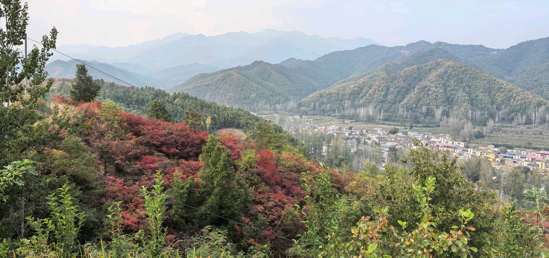 路口