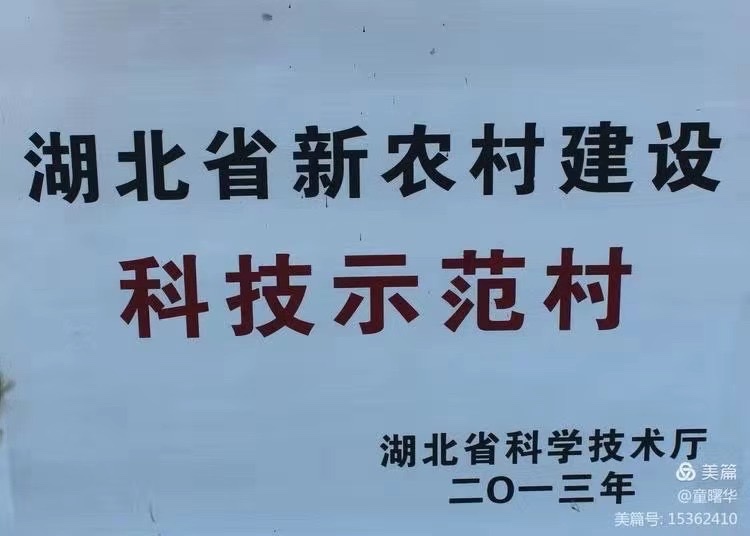 [湖北总社]'百花'文艺歌颂新农村 新💮农💮村💮专💮刊【世界诗人名人展】10259期（图8）
