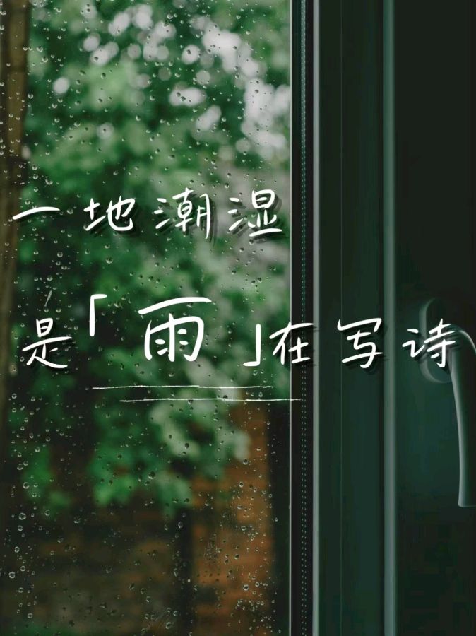 一地潮湿，是雨在写诗