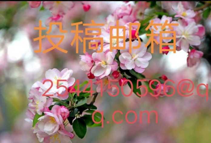 【中國新聞詩雯網】歌词《小角色》雅君（安徽）（图5）