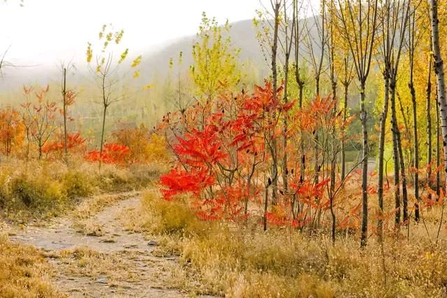 牛在坤老师的【精典诗词】（图3）