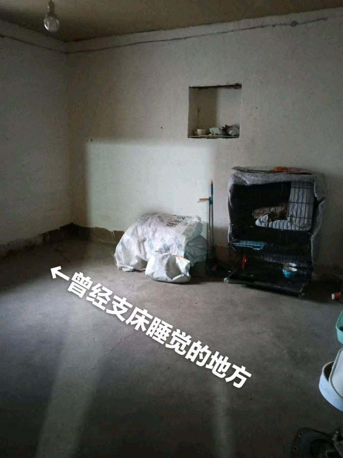 旭日东升（長民）‖编辑《柞水大耳树的知青岁月》（图5）