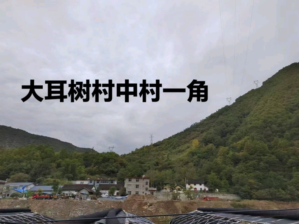 旭日东升（長民）‖编辑《柞水大耳树的知青岁月》（图9）