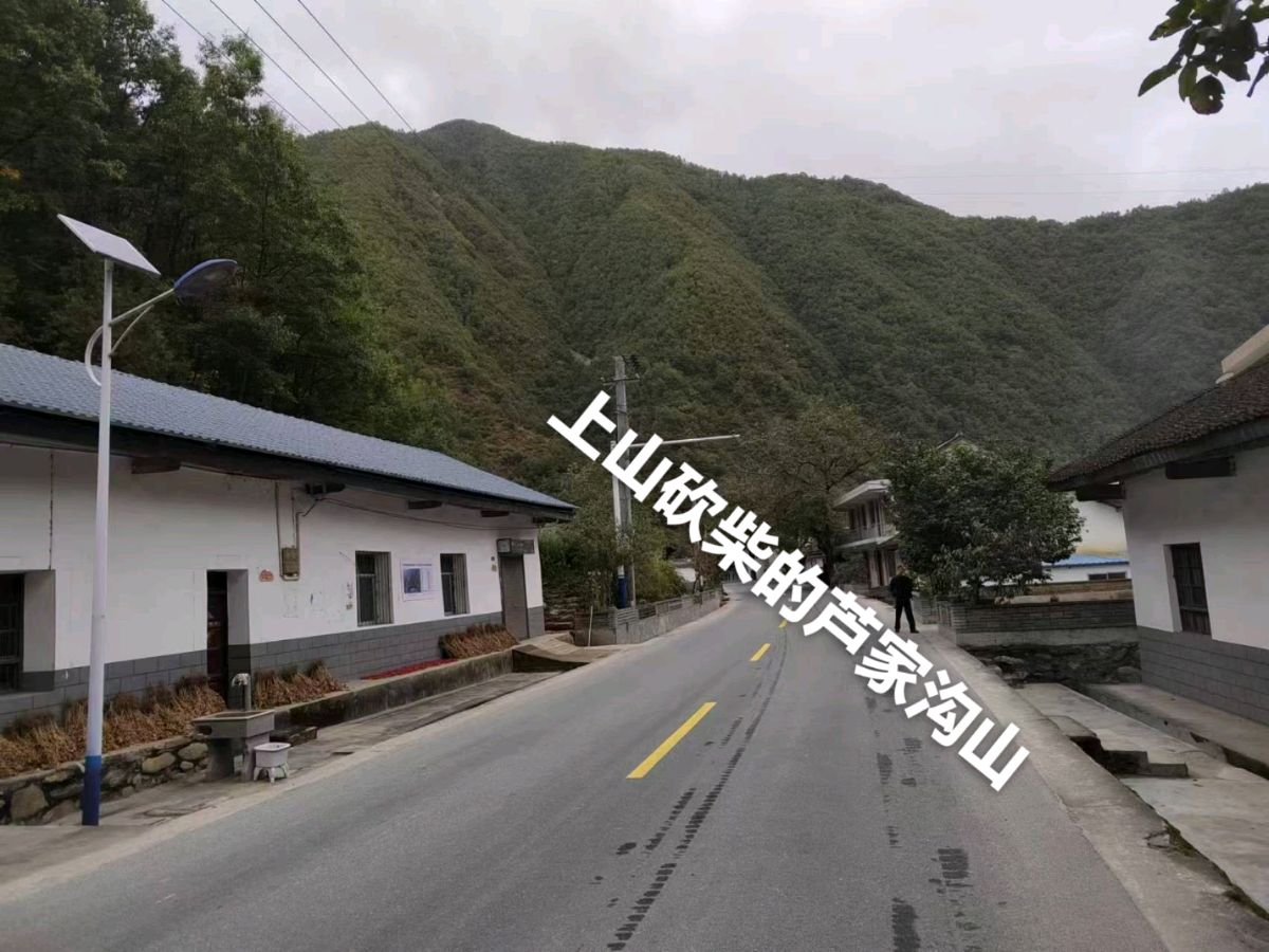 旭日东升（長民）‖编辑《柞水大耳树的知青岁月》（图10）