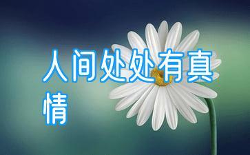 妙琪诵读诗两首：一、南锣鼓巷 作者/琴瑟乡音 二、说“情” 作者/甘杰（图7）