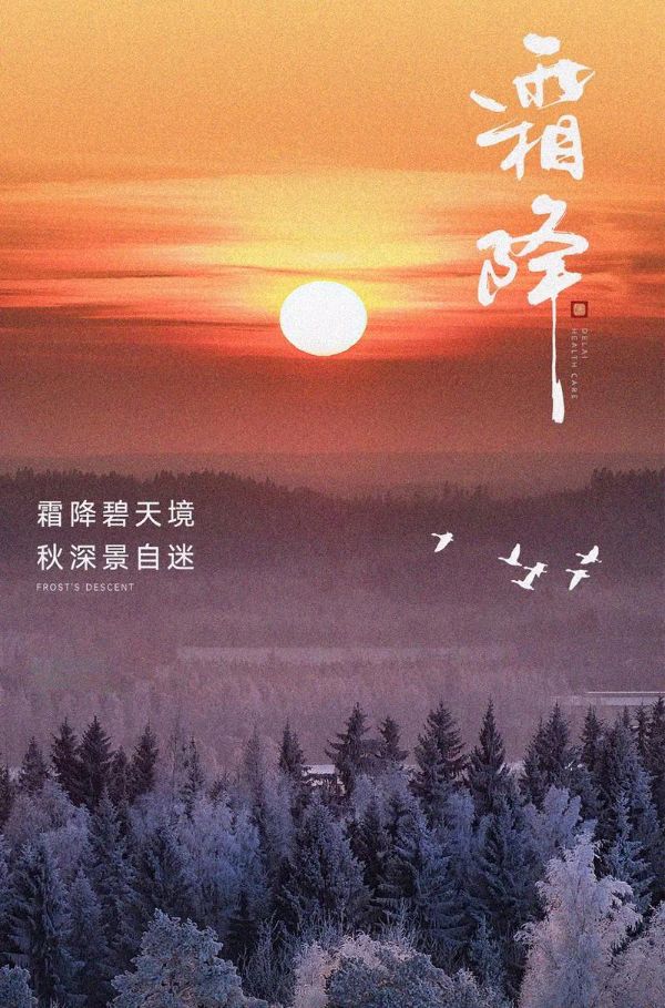《霜降美景如期至‌》文:强军/陕西宝鸡