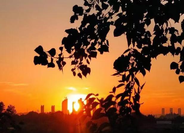 七律-桑榆夕照～诗||雅轩琴韵（图9）