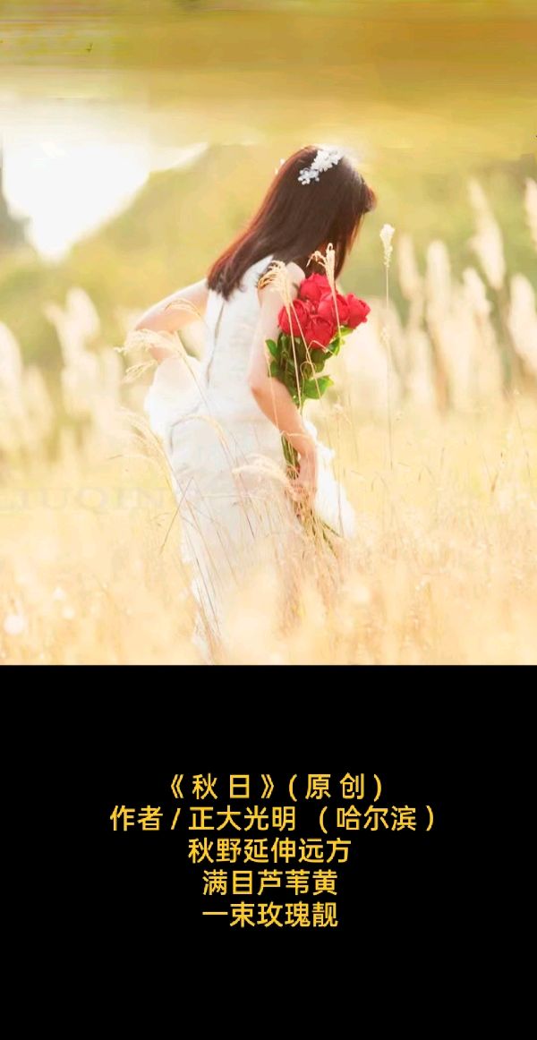 荐赏:💖 题图微诗三首//作者 / 正大光明 ( 哈尔滨 ）//《诗收获》征稿……（图4）