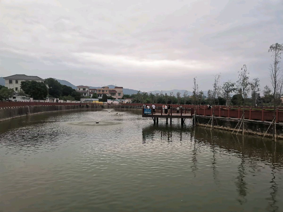 广东省中山市三乡镇桥头村 掠影/王夫（图5）