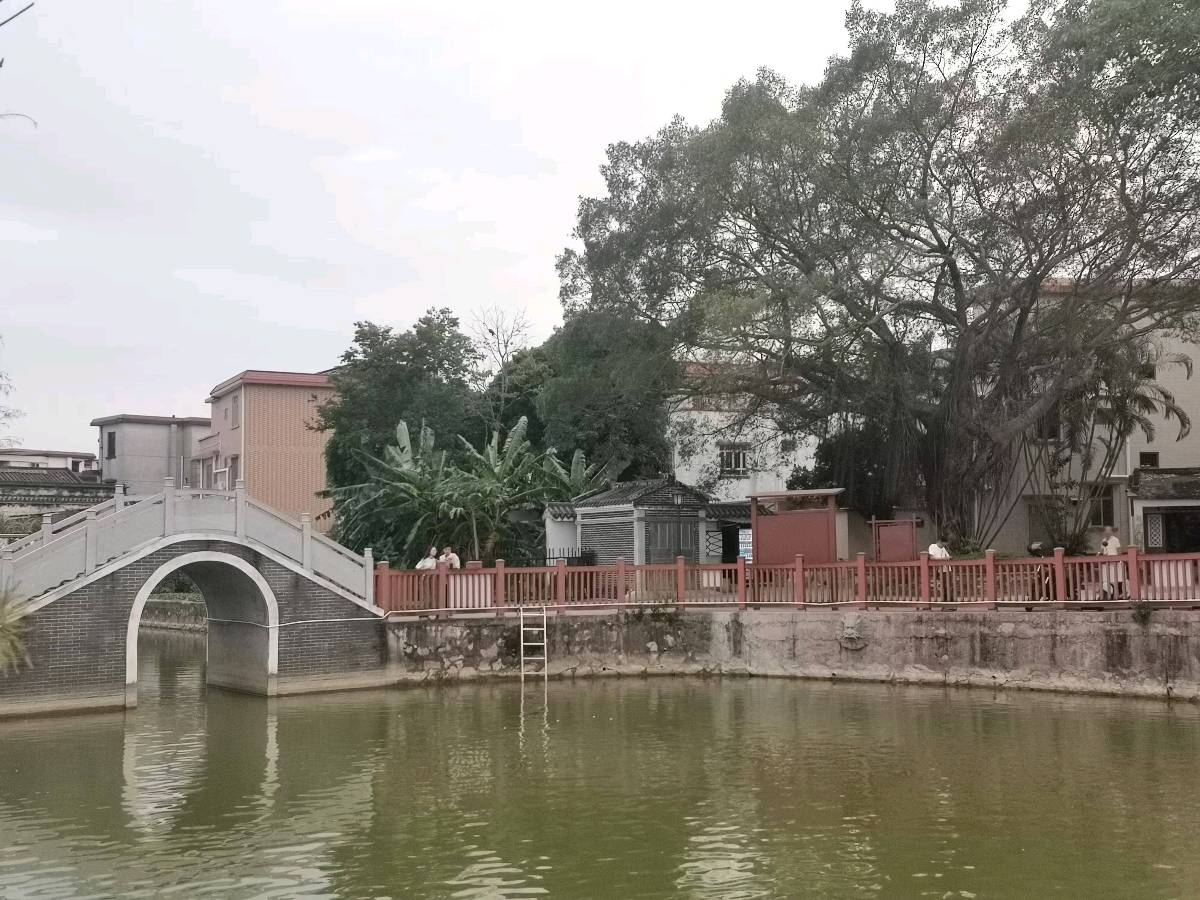 广东省中山市三乡镇桥头村 掠影/王夫（图8）