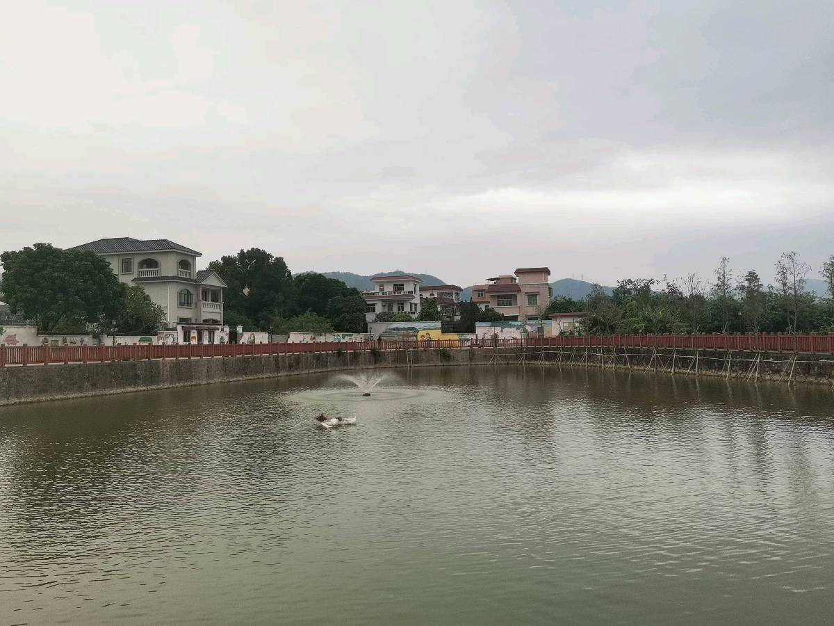 广东省中山市三乡镇桥头村 掠影/王夫（图9）