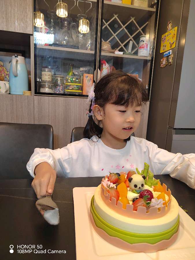 王沐泽六周岁生日快乐‖旭日东升（長民）编辑（图28）