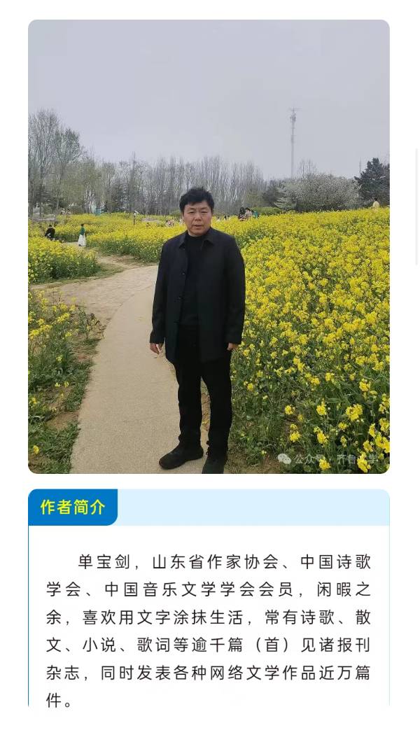 【有声】单宝剑:八一,那抹永不褪色的耀眼之光‖主播:求索(图3)